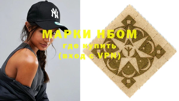 ALPHA PVP Инсар