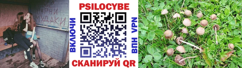 Купить закладки  Асино  Галлюциногенные грибы мицелий 