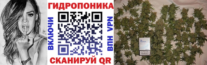МАРИХУАНА семена  Купить  Асино 